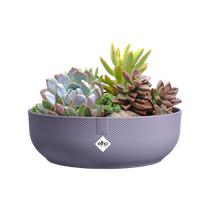 jazz bowl 28cm lavendel lila